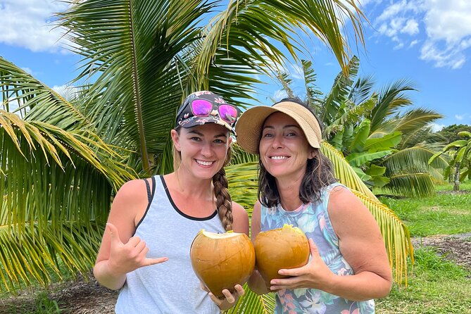 macnut-tour-picnic-lunch-and-maui-bees