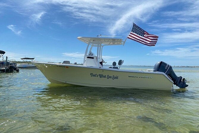 madeira-beach-shell-key-dolphins-half-day-private-boat-tour