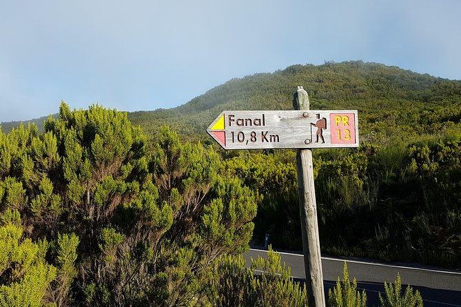 madeira-private-guided-walk-vereda-fanal-pr13