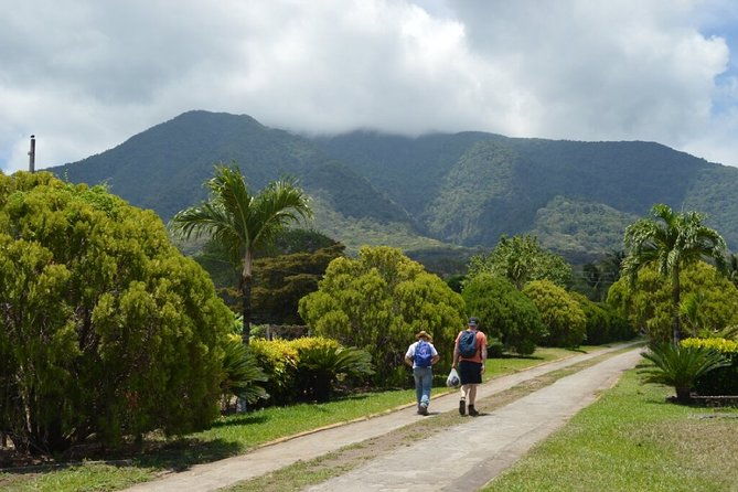 maderas-volcano-hike-at-ometepe-island