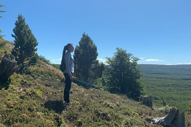 magallanes-national-reserve-and-punta-arenas-city-tour