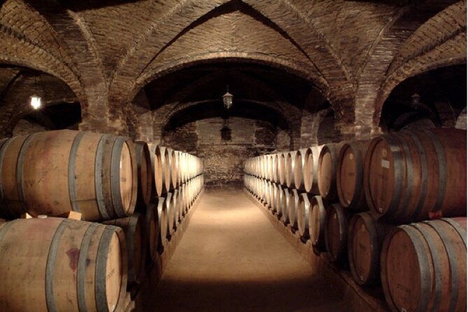 maipo-valley-top-wineries-private-tours-and-tastings-from-santiago