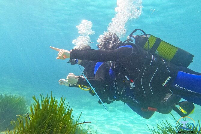 mallorca-private-reservationscuba-dive-photo-video-2