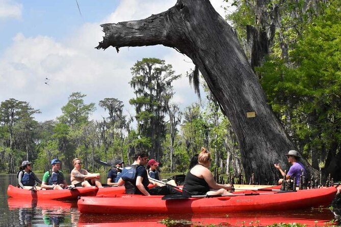 manchac-swamp-kayak-tour-for-experienced-kayakers-with-pickup