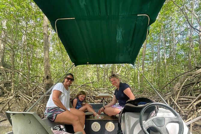 mangrove-boat