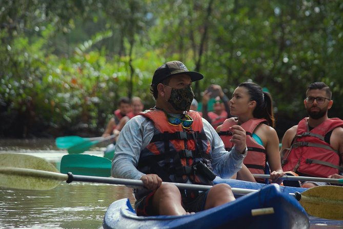 mangrove-damas-island-kayak-tours