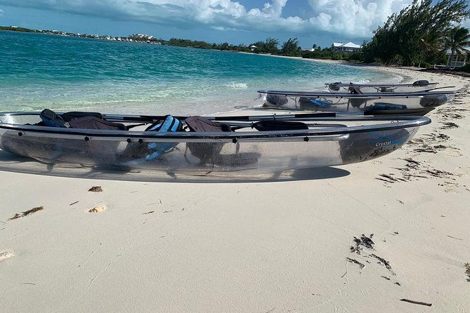 mangrove-iguana-clear-kayak-tour