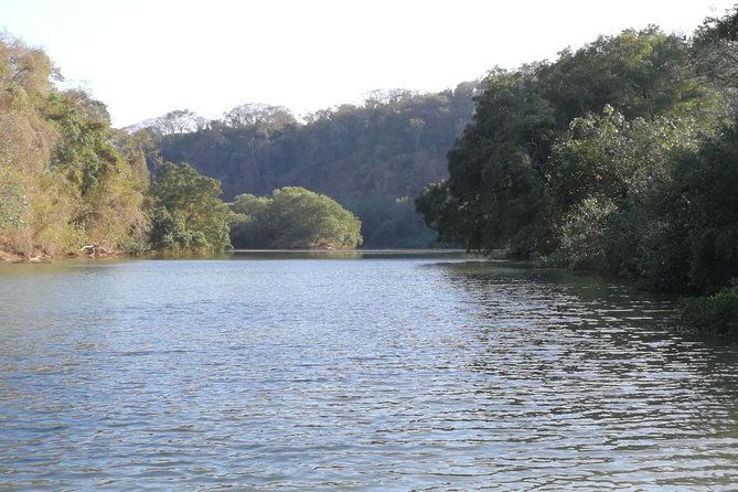mangrove-kayak-2