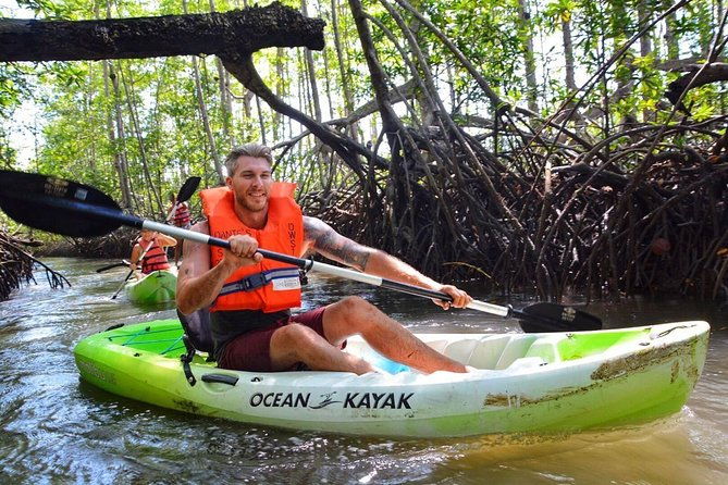 mangrove-kayaking-or-boat-adventure