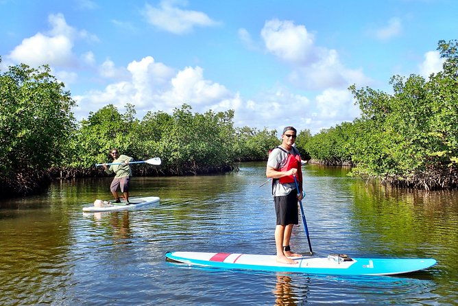 mangrove-sup-safari