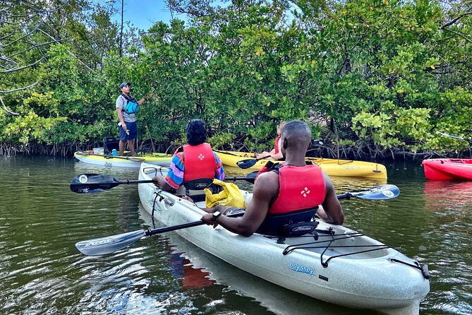 mangrove-tunnel-kayak-eco-tour