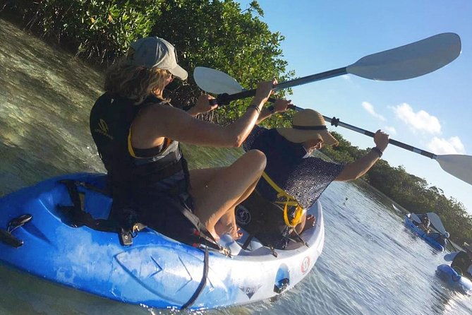 mangroves-kayak-tour