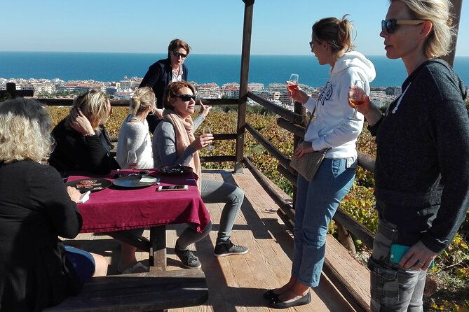 manilva-oceanfront-wine-experience-in-the-marbella-area