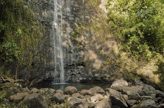 manoa-falls-electric-bike-to-hike-experience-local-meal-included