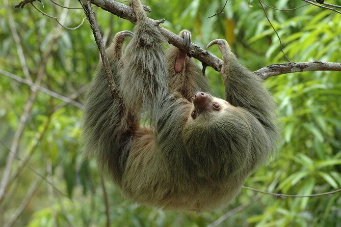 manuel-antonio-national-park-hiking-tour-from-jaco