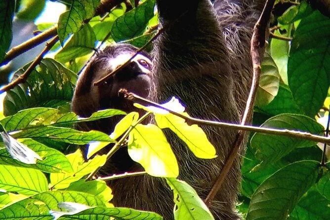 manuel-antonio-rain-forest-park-and-beach