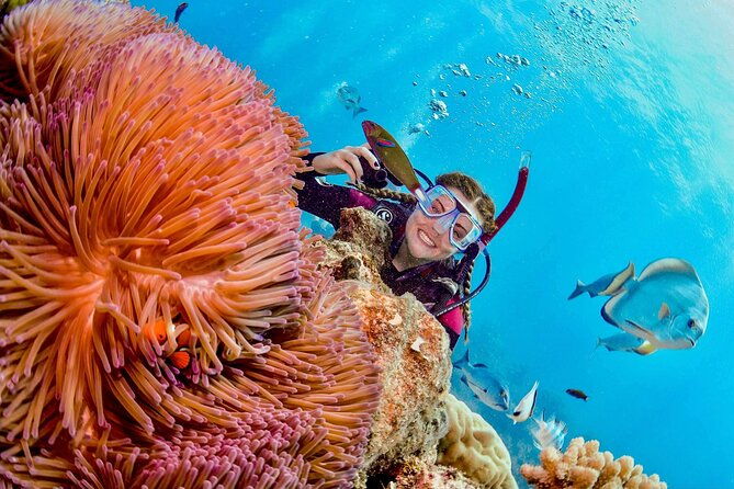 margaritaville-jeski-tour-or-snorkeling-in-montego-bay