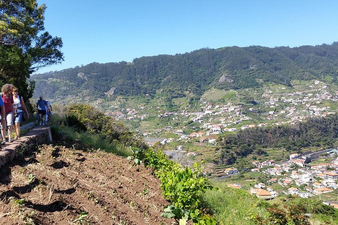 marocos-mimosa-valley