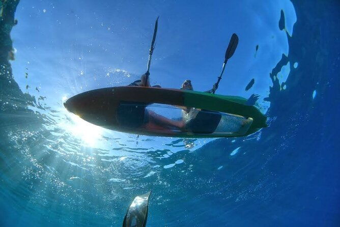 mauis-only-clear-bottom-kayak-rental-priced-per-tandem-kayak
