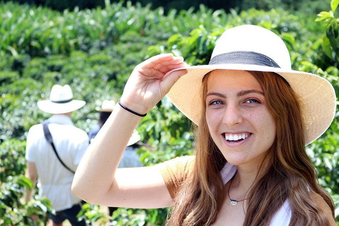 medellin-hands-on-coffee-tour