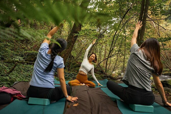 meditation-experience-in-nature-with-primeval-forest-and-springs