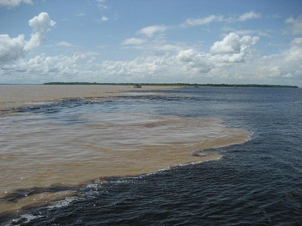 meeting-of-the-waters-pink-dolphin-tour-with-lunch