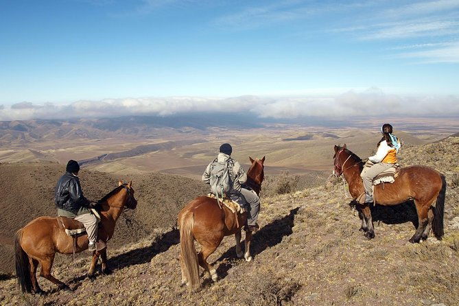 mendoza-horseback-riding-tour-with-traditional-argentine-asado