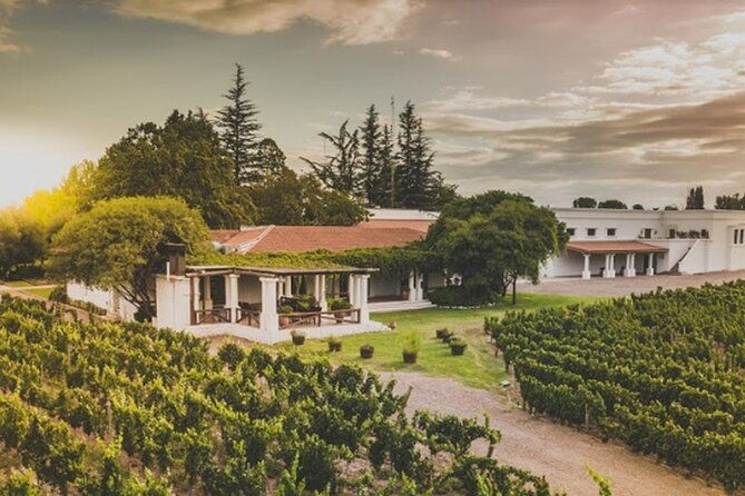 mendoza-wine-tour-with-lunch