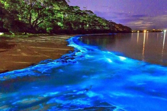 mesmerizing-luminous-lagoon-glistening-waters-night-tour