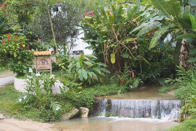 minca-waterfalls-and-coffee-farm-tour-from-santa-marta