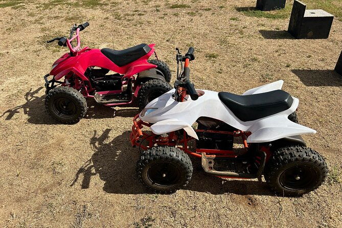 mini-atvs-and-farm-animal-experience