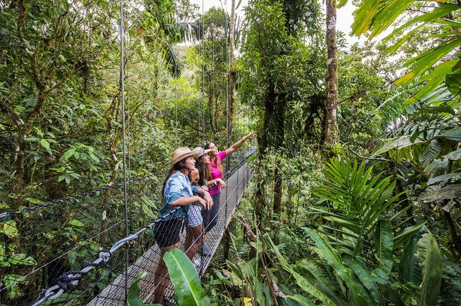 mistico-park-hanging-bridges-guided-tour