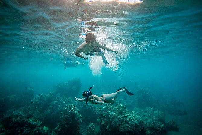 molokini-snorkel-whale-watching-from-kihei-2