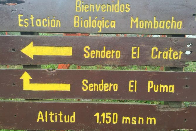 mombacho-volcano-trails-and-zip-line-amazing-natural-landscapes