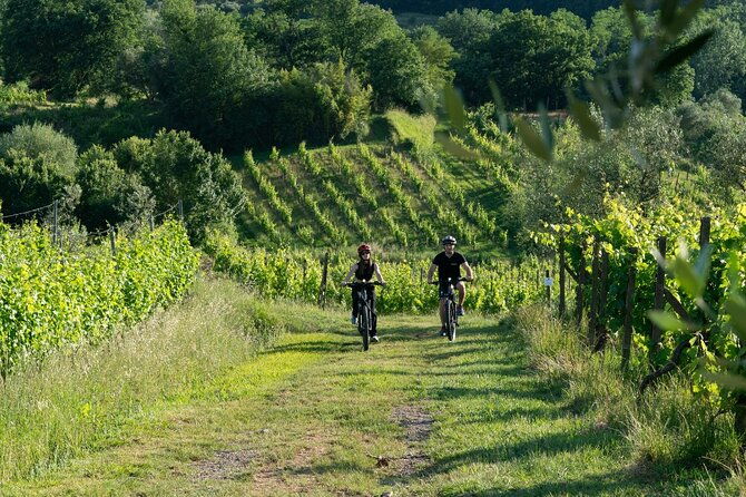 montecarlo-e-bike-one-day-tour-with-lunch-and-tasting