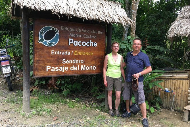 montecristi-the-rain-forest