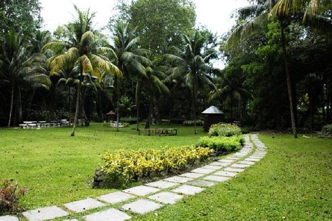 montego-bay-to-dunns-river-falls-half-day-trip