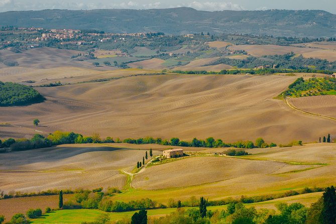 montepulciano-wine-tasting-lunch-in-a-typical-winery