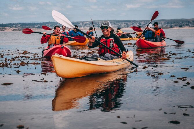 monterey-bay-full-day-kayak-rental-otters-seals-and-sea-lions