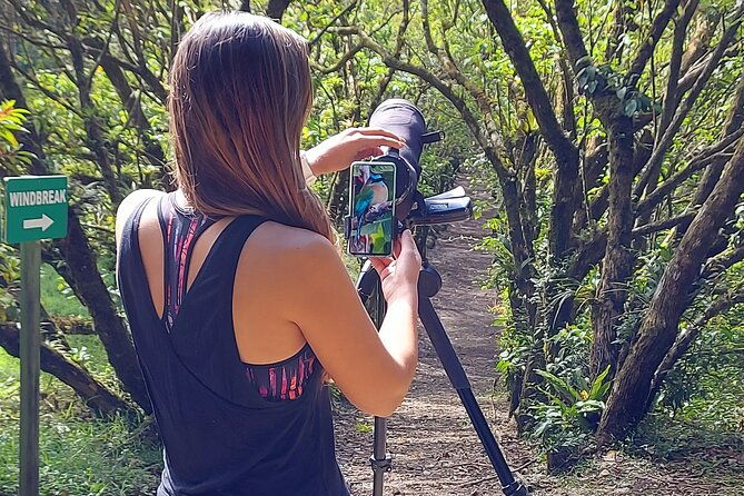 monteverde-birdwatching-experience