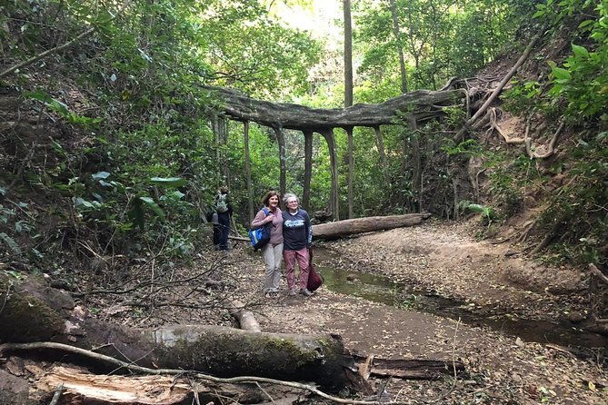 monteverde-cloud-forest-authentic-experience