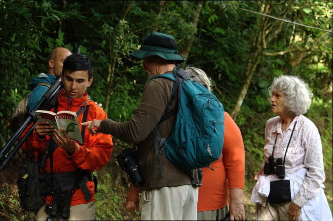 monteverde-cloud-forest-tour-with-a-certified-tour-guide