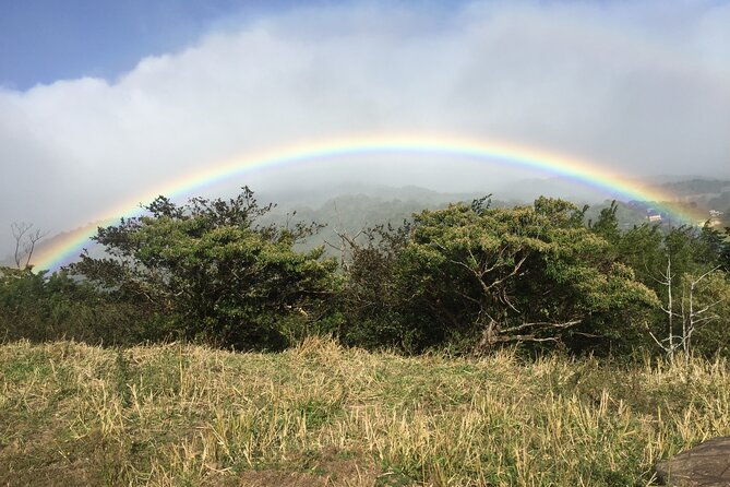 monteverde-private-guided-afternoon-nature-walk
