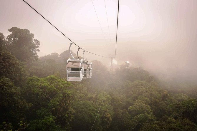 monteverde-sky-tram-hanging-bridges-cloud-forest-tour-from-san-jose