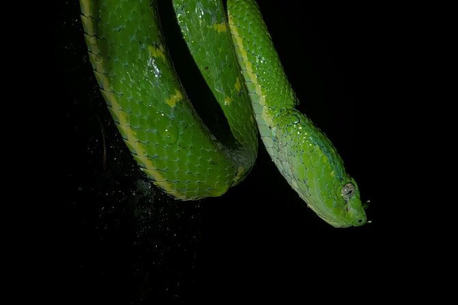 monteverde-tropical-forest-semi-private-tour