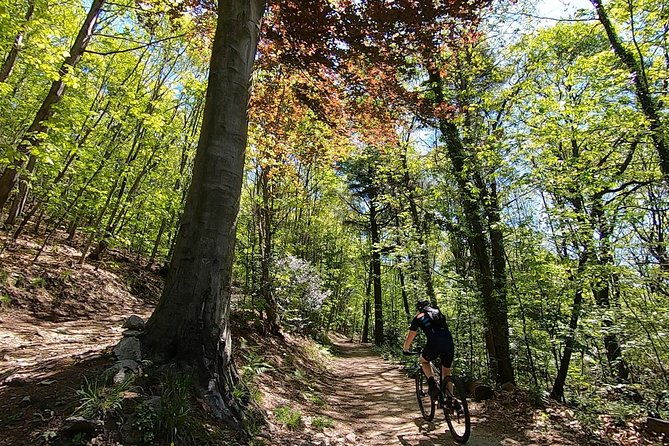 mountain-bike-tour-in-spina-verde-natural-park