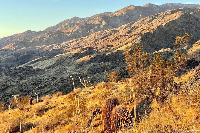 mountain-sunrise-hike-and-meditation-in-palm-springs