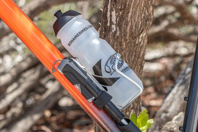 mountainbike-1-day-rental