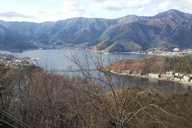 mt-fuji-day-tour-by-private-minivan-with-licensed-tour-guide-and-driver