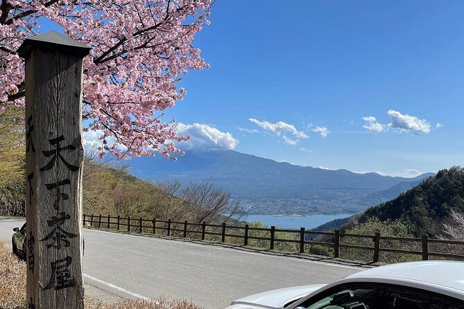 mt-fuji-onsen-tattoo-ok-japanese-sake-wine-whiskey-tour